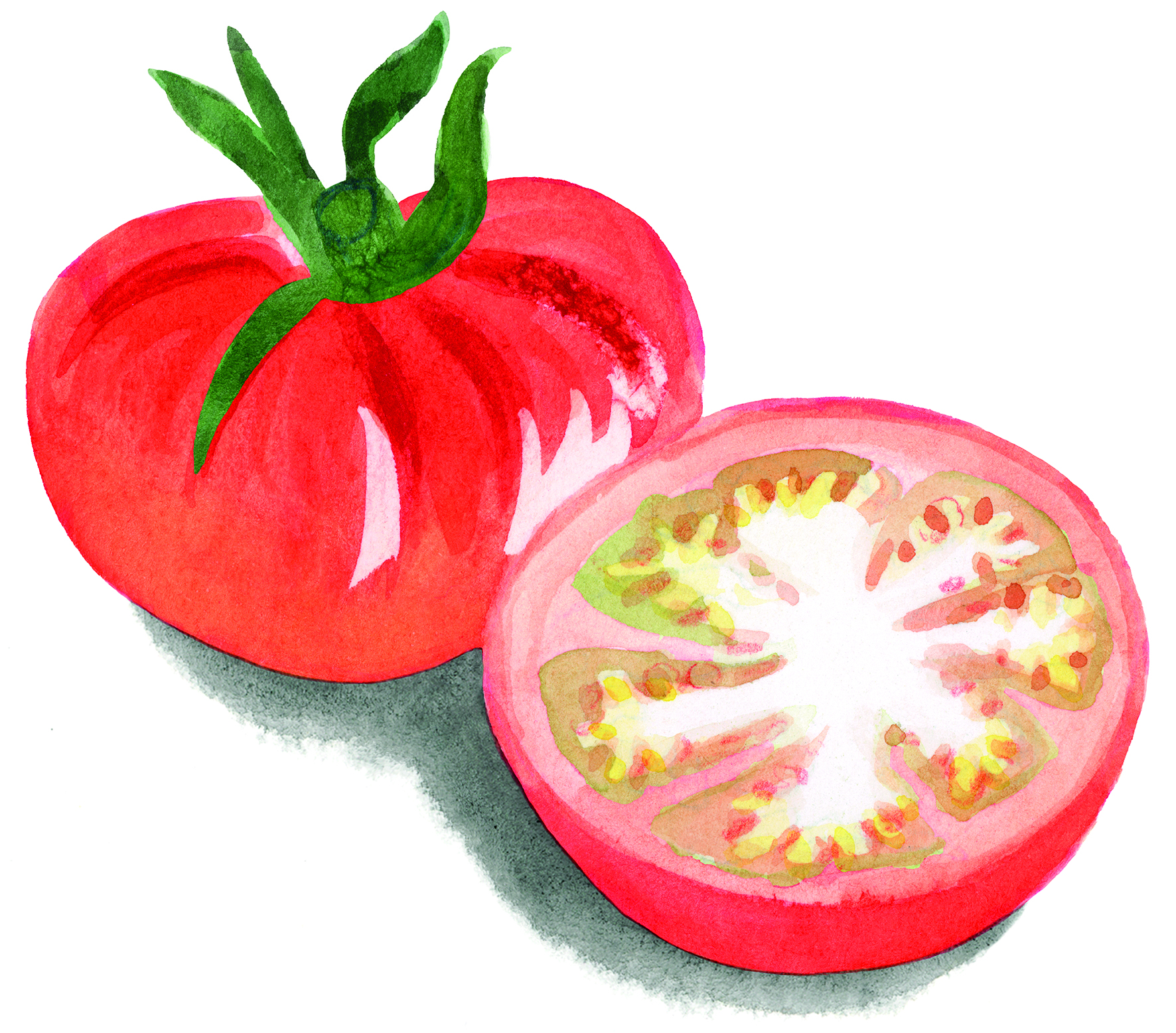 tomate einzeln