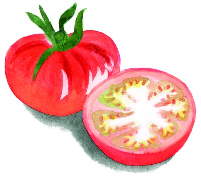 tomate einzeln