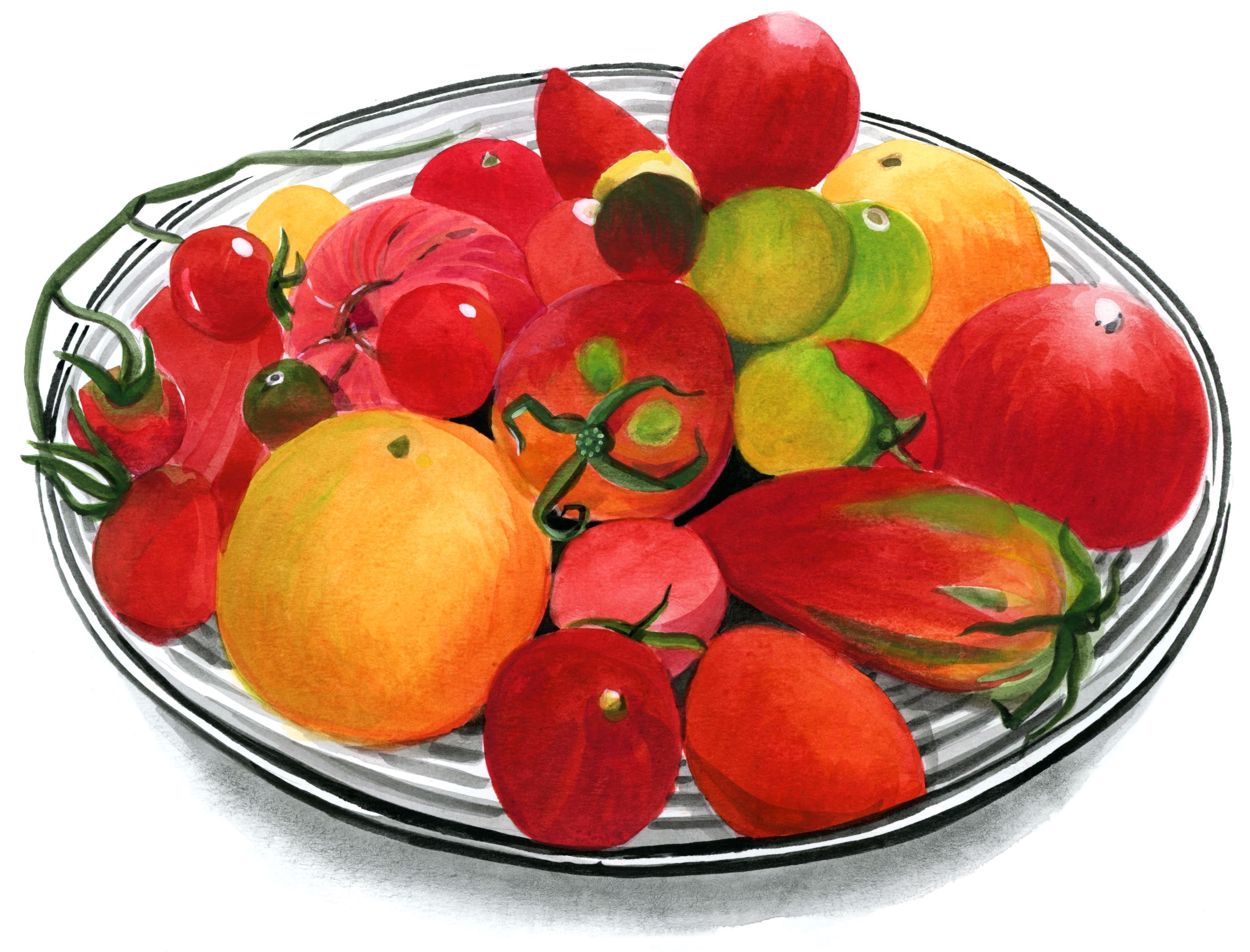 tomatenschale-vielfalt