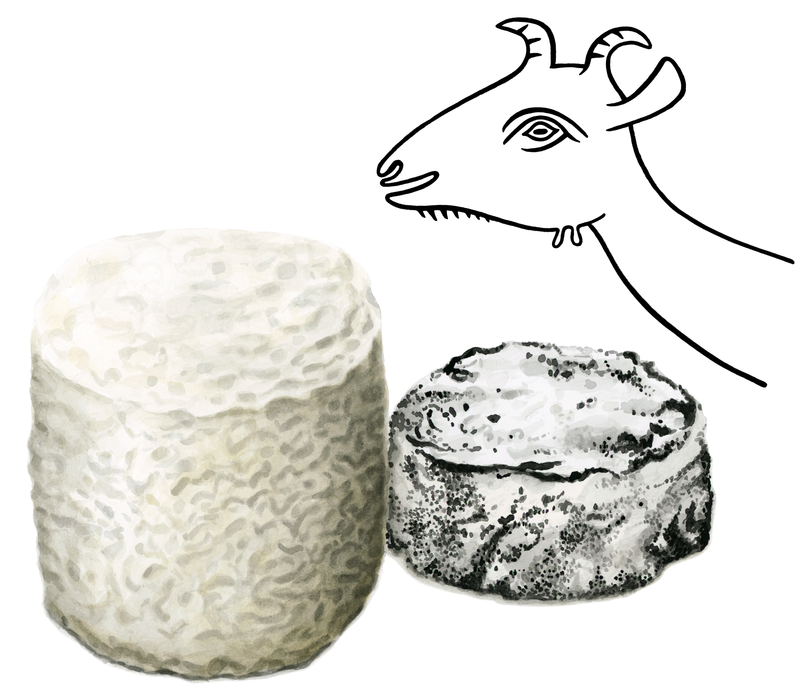 ziegenkäse-suhrplus