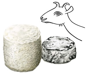 ziegenkäse-suhrplus