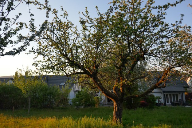 Aargauer Jubiläum jung und alt