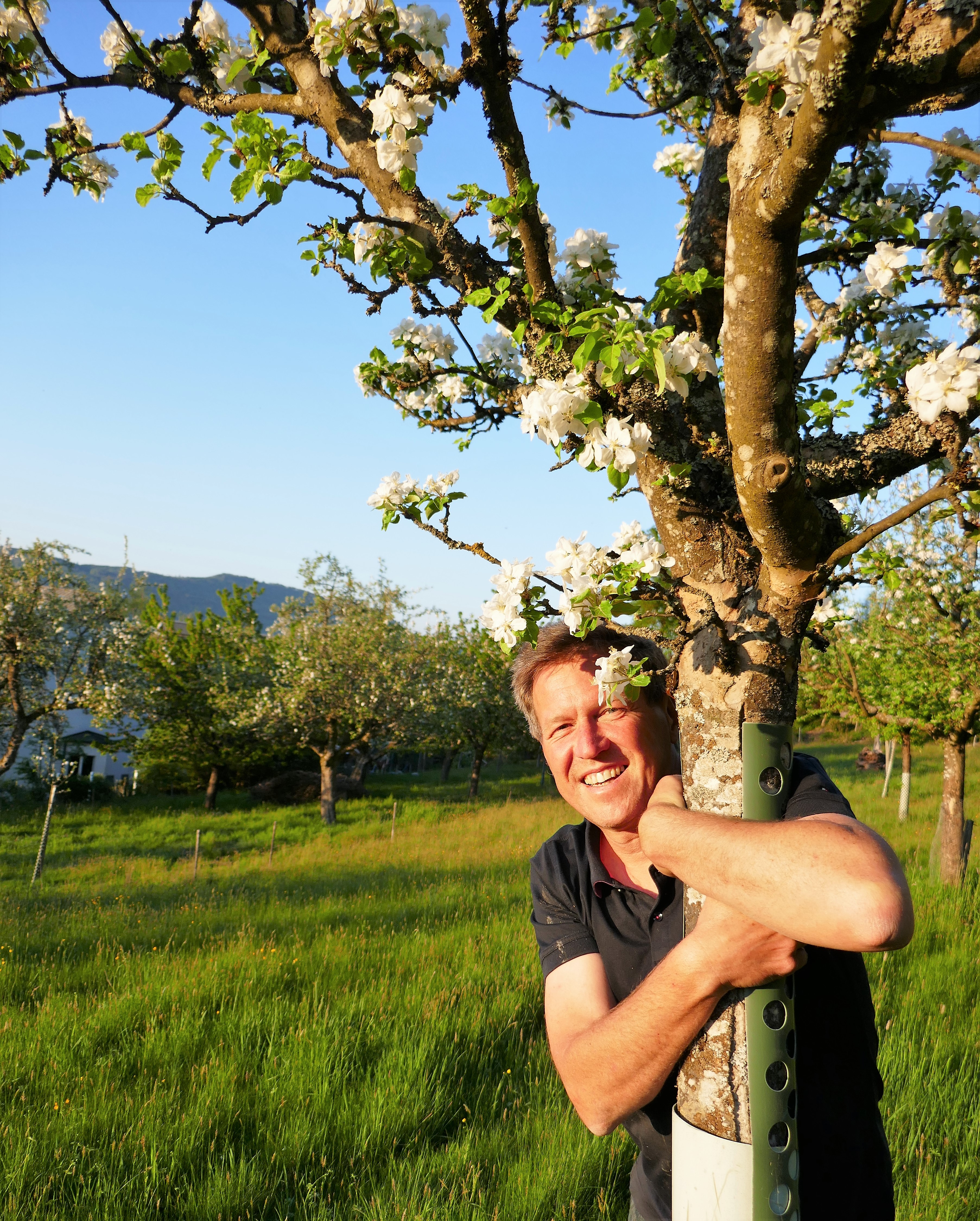 #hugatreenotme_René